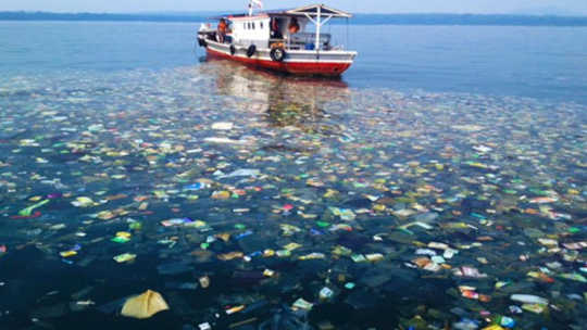 How England’s Fee For Plastic Bags Is Working