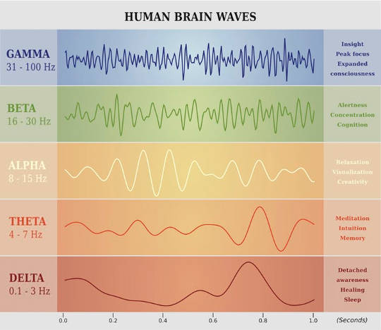 Each type of synchronized activity is associated with certain types of brain function.