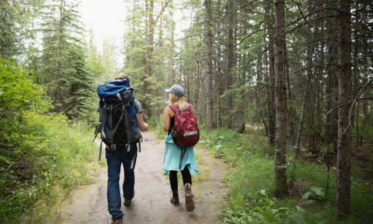 If Meditation Is Not Your Thing, Try a Walk in the Woods