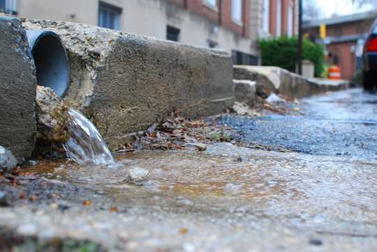 How Your Garden Could Help Stop Your City Flooding