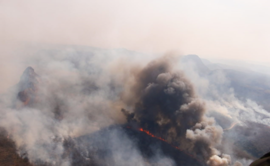 It’s Not Just Brazil's Amazon Rainforest That’s Ablaze – Bolivian Fires Are Threatening People And Wildlife