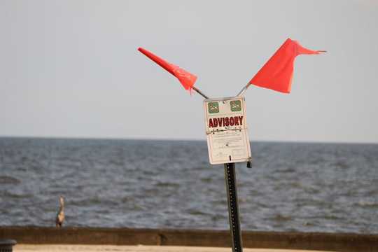 Yes, Flesh-eating Bacteria Are In The Warm Coastal Waters – But It Doesn't Mean You'll Get Sick