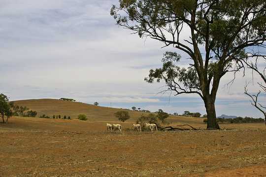 The Lessons We Need To Learn To Deal With The Creeping Disaster Of Drought