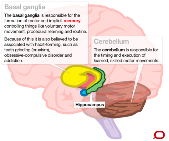 Why We're Capable Of Infinite Memory