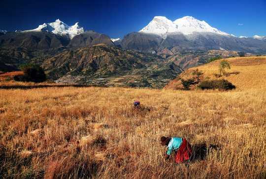 Peru's Ancient Water Systems Can Help Protect Communities From Shortages Caused By Climate Change