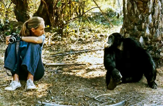 My Talk With Jane Goodall: Vegetarianism, Animal Welfare And The Power Of Children’s Advocacy