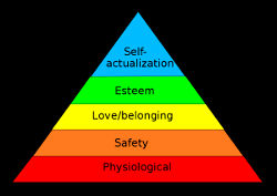 maslow 03 08