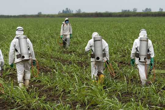 Super Popular Roundup Weed Killer Threatens Biodiversity