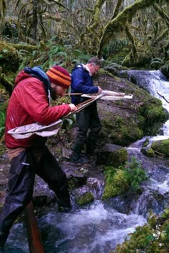 Stoneflies And Mayflies Are The 'Coal Mine Canaries' Of Our Streams