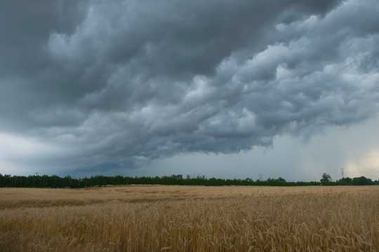 How Canadian Agricultural Producers Can Lead The Way In Climate Action