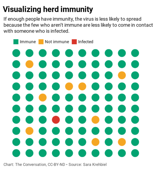 Why Herd Immunity Won’t Solve Our COVID-19 Problem