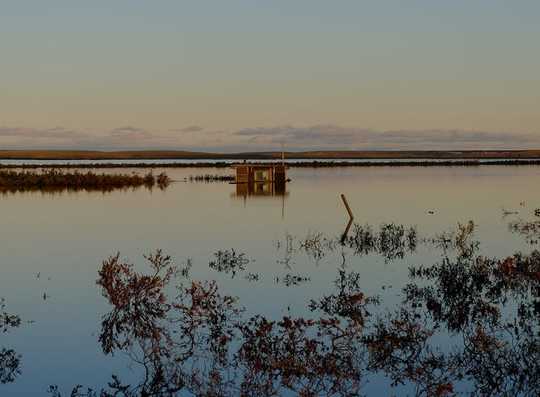 This Is The Arctic's Recent Carbon Emissions We Should Fear For Climate Change