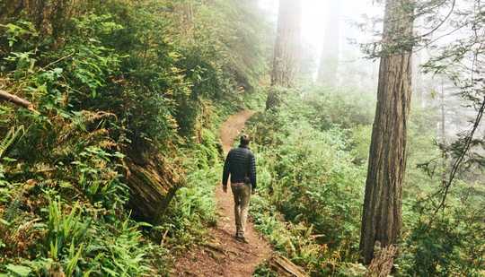 How Wildness In Parks Can Make You Feel Better