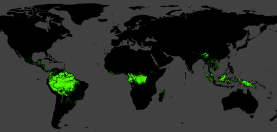 Why Rainforests Are Losing Their Power To Help Humanity