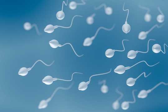 Coronavirus Found In Semen Of Young Men