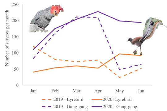 Change in the number of area-based surveys by Australian citizen scientists over the first six months of 2019 compared with 2020.