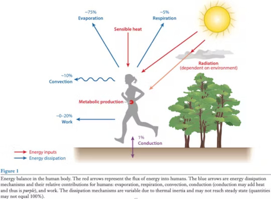 understanting heat stress2 6 1