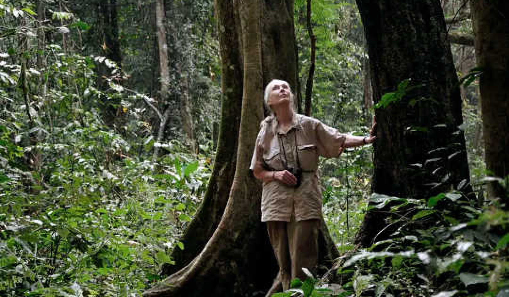 My Talk With Jane Goodall: Vegetarianism, Animal Welfare and The Power Of Children’s Advocacy