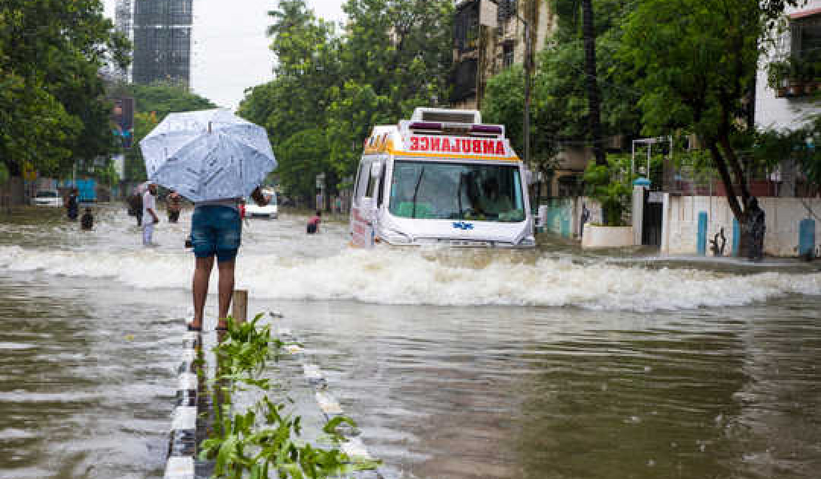 To Tackle The Climate Crisis We Need More Democracy, Not Less