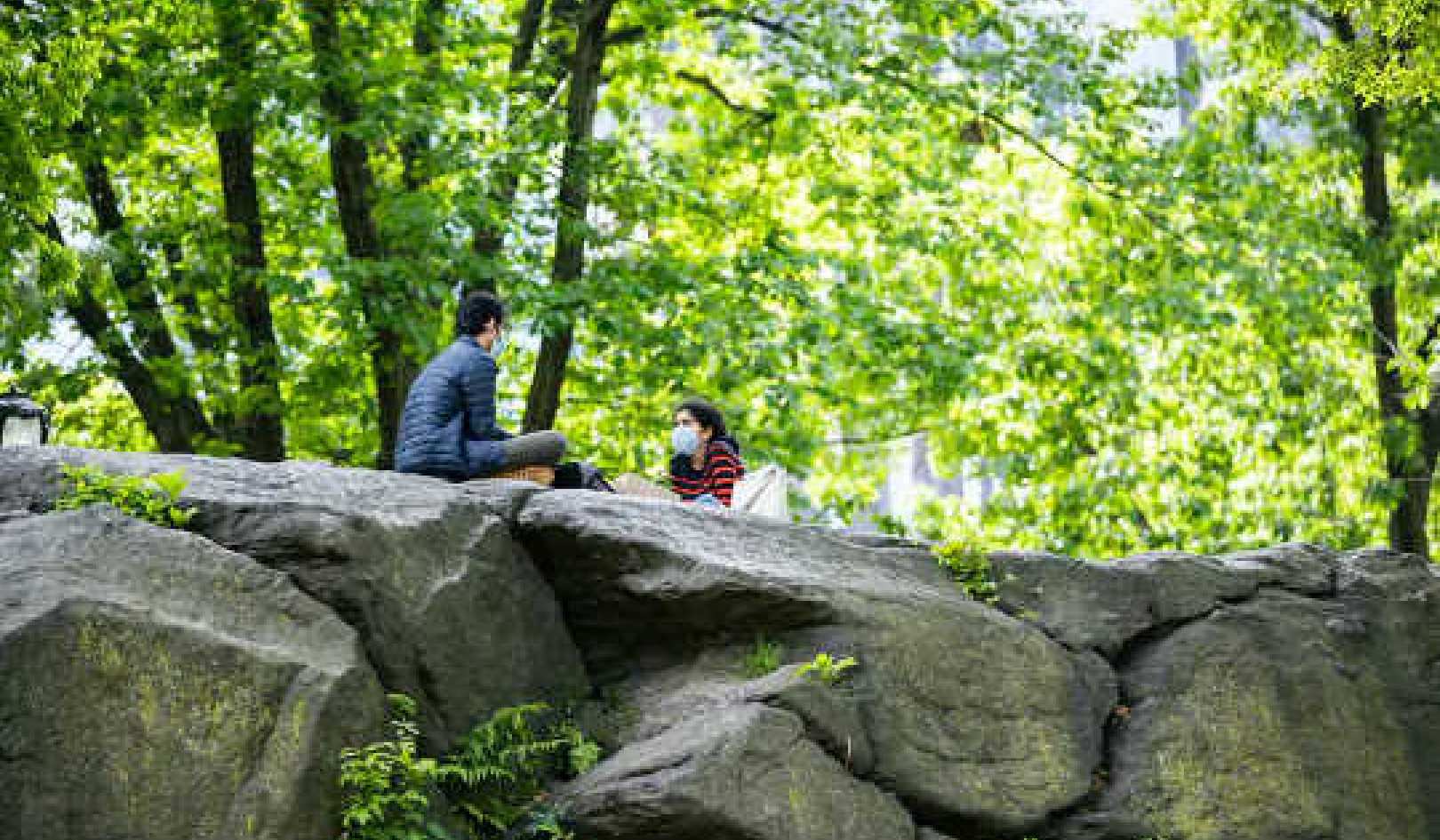 Twitter Posts Show That People Are Profoundly Sad – And Are Visiting Parks To Cheer Up