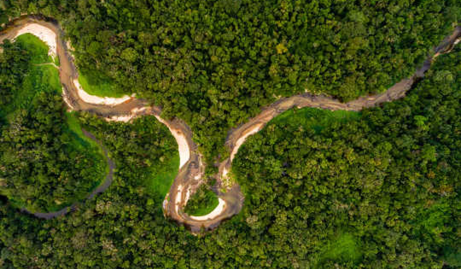 What Would Happen If We Cut Down The Amazon Rainforest?