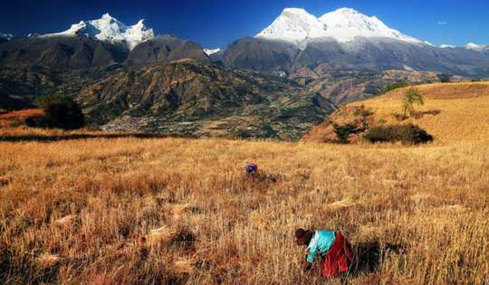 Peru's Ancient Water Systems Can Help Protect Communities From Shortages Caused By Climate Change