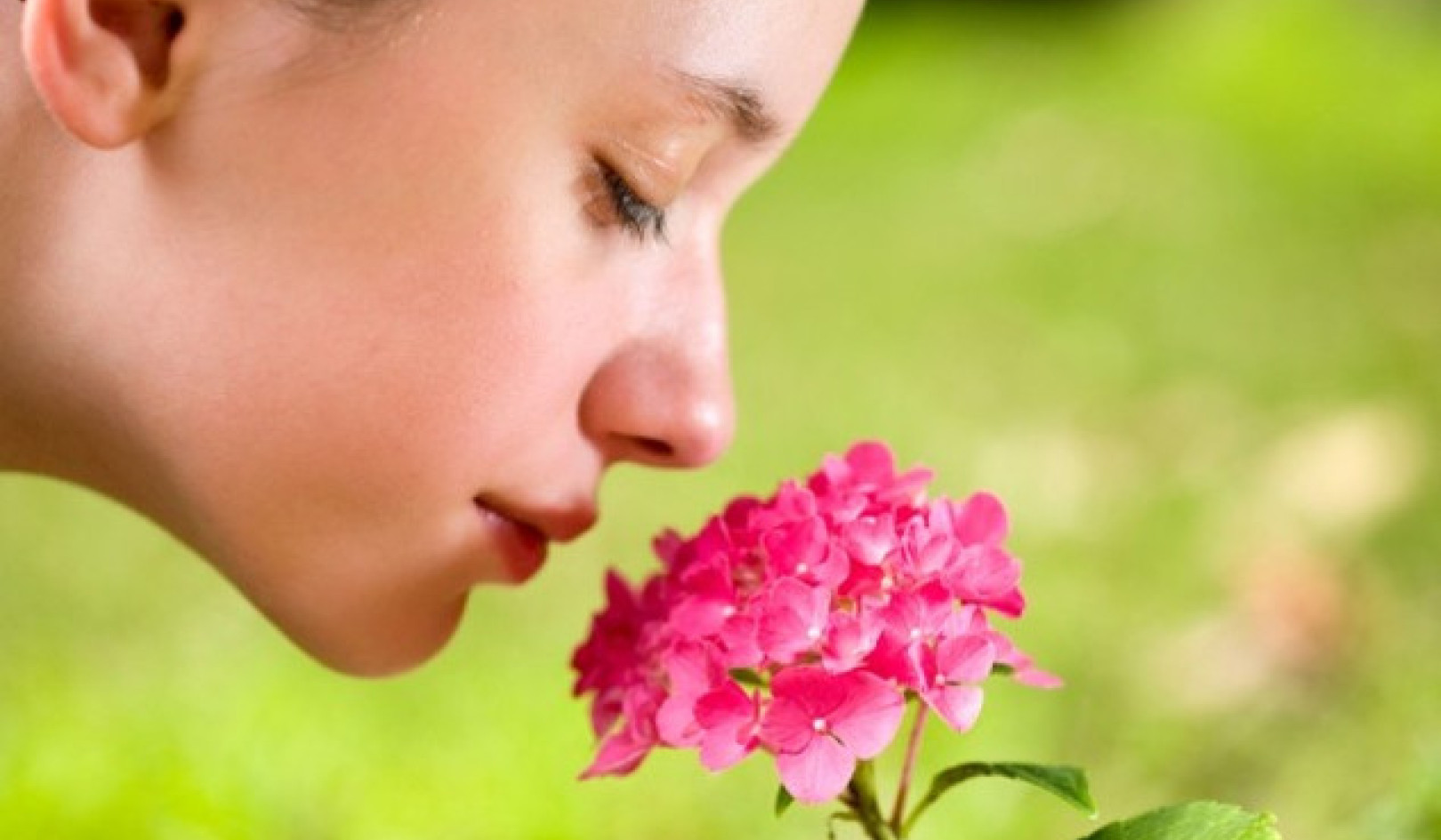 How Smell Loss Reveals Health Risks Linked to Inflammation