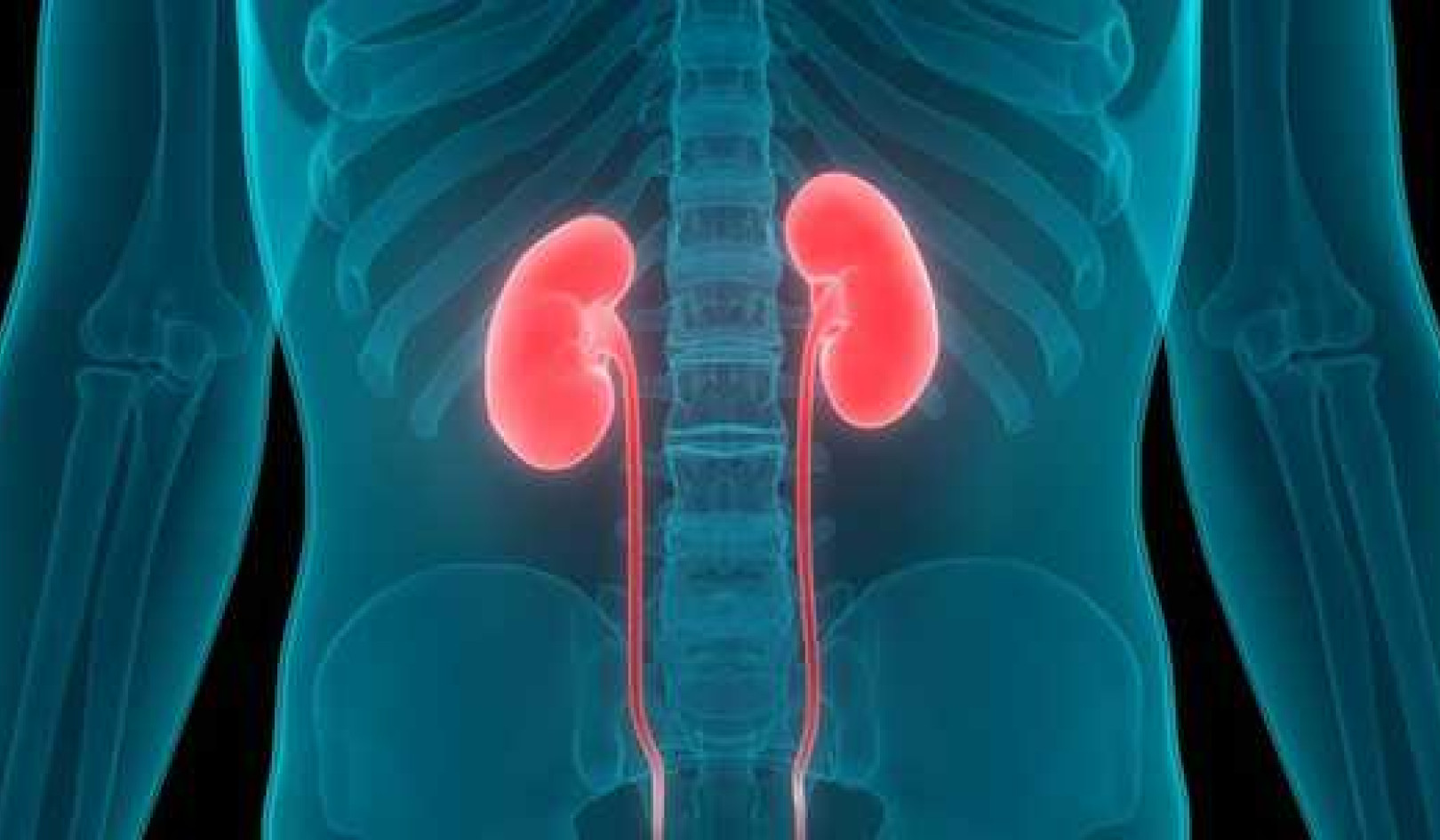 What Is Chronic Kidney Disease And Why Are One In Three At Risk Of This Silent Killer?