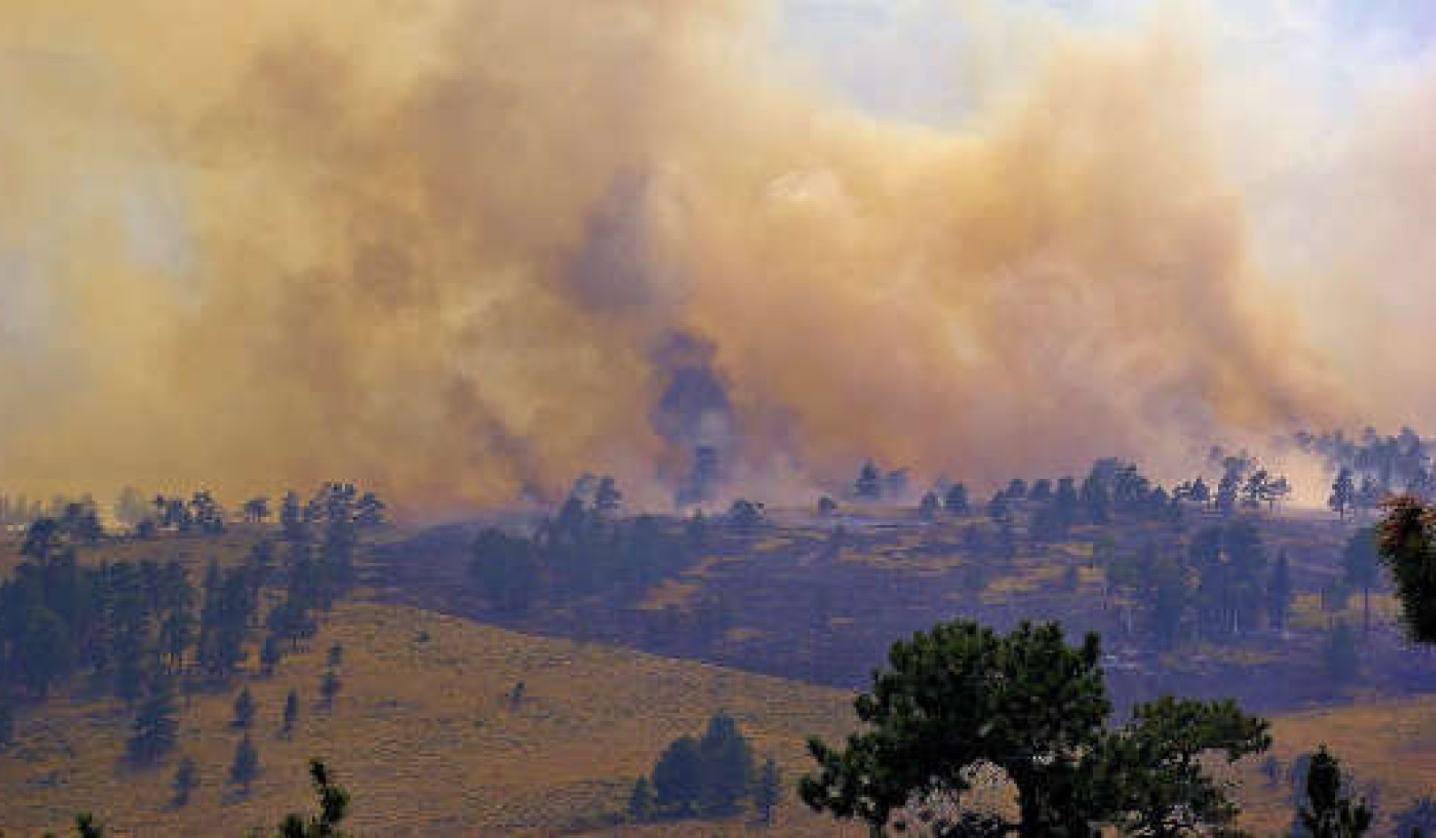 Why Fires Burning Higher In The Mountains Are A Clear Sign Of Climate Change