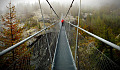 person walking forward on a rope bridge