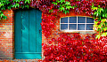 a door and a window surrounded by bright red vines