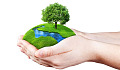 hands holding a mound of grass-covered Earth with a stream running through it and a tree at the top.