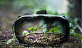 A VR headset with sprouting green leaves reflected on its surface represents the debate on whether virtual nature can provide the same wellness benefits as real nature.