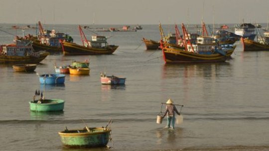 Managing Tropical Coastal Seas for 21st Century Challenges