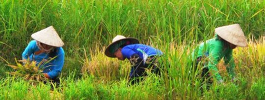 How Rainfall Variability, Food Security and Migration Interact