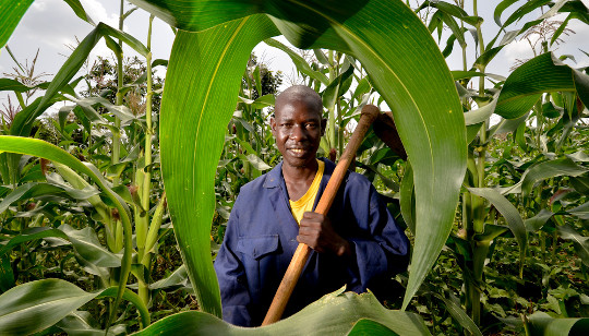 Climate Change Is Hitting African Farmers The Hardest Of All