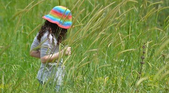 Practicing Environmental Compassion and Remembering That Nature is Our Home