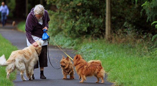 To Be More Active, Seniors Should Sit Less