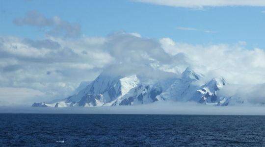 Antarctica’s delicate ecosystem could be under threat from invasive species. Ceridwen Fraser, Author provided