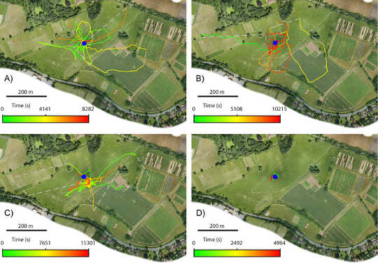 Initial exploratory flights of the four bees. Colours represent time in flight, moving from green through yellow to red. Grey dashed lines show estimated routes. Woodgate/Makinson/Lim/Reynolds/Chittka