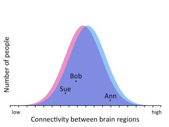 A typical sex difference in the human brain. Data from Tunç et al., 2016. Donna Maney, CC BY-ND