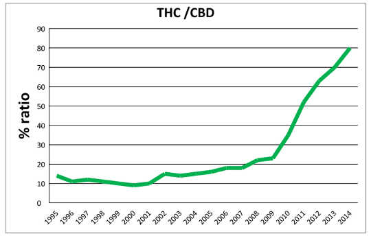 cannabis2 8 4