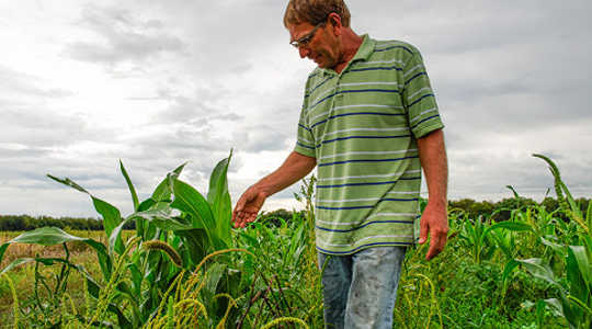 How This Kansas Farmer Fought A Government Program To Keep His Farm Sustainable