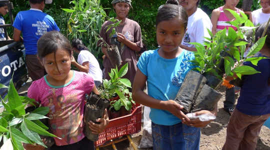 Forest Restoration Can Turn Back The Climate Clock