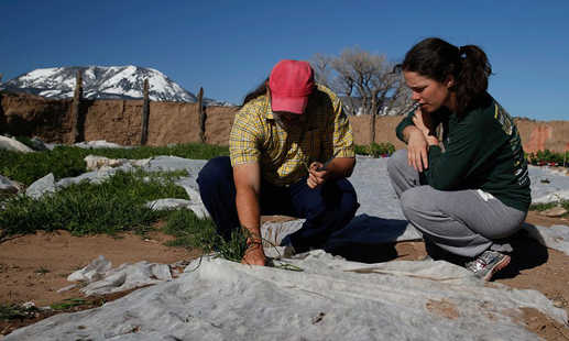 On a Remote Homestead, the Work You Do Is Not Just a Job It’s Your Life