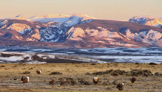 Democrats And The Republicans Are Also Miles Apart On Public Lands