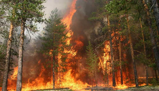 Vast Wildfires Are Burning far From Humans In Remote Siberia