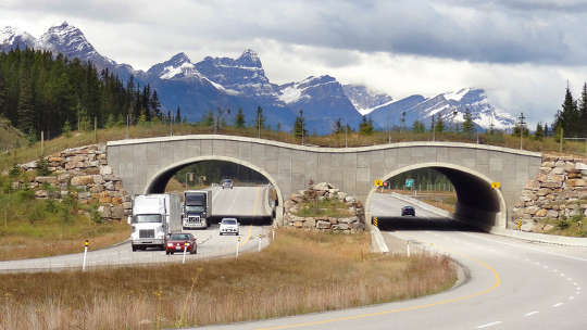 wildlife corridors 