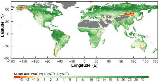 Trends in water use efficiency over 1982-2011. 