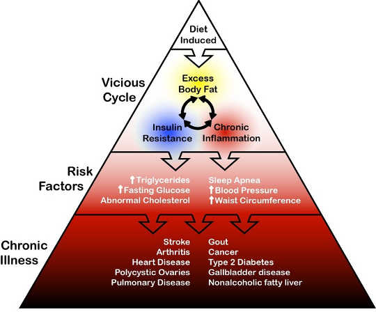 The relationship between overfat and disease.